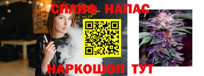 тгк Будённовск